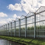 البيوت الزجاجية الهولندية