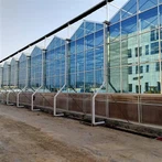 دفيئة تكافلية للأسماك والخضروات