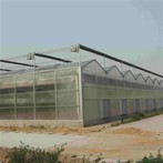 دفيئات الزراعة المائية