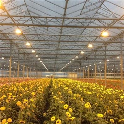 Intelligent Greenhouse