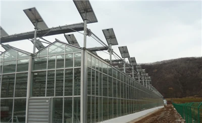 Monocrystalline Silicon Photovoltaic Greenhouse