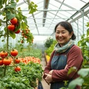 الدفيئة الزجاجية الصينية فينلو لآسيا الوسطى