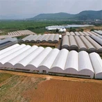 الدفيئة ذات الأغشية الرقيقة المتعددة النطاق في الصين